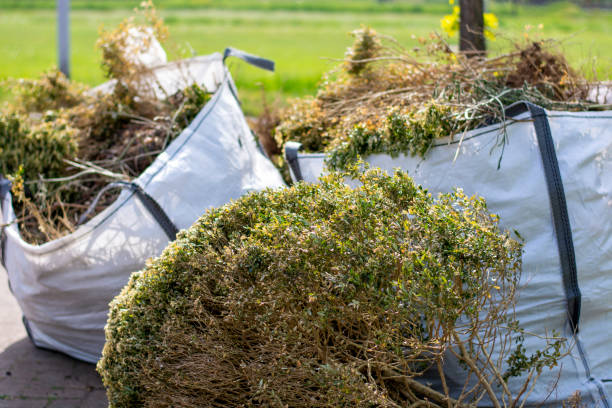 Best Hot Tub Removal  in Du Quoin, IL