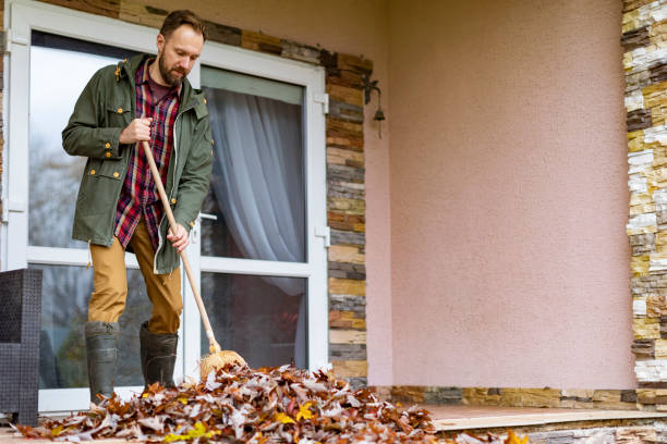 Best Same-Day Junk Removal  in Du Quoin, IL