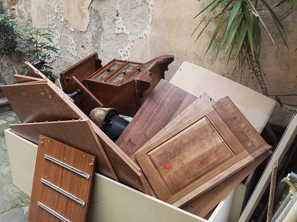 Yard Cleanup Services in Du Quoin, IL